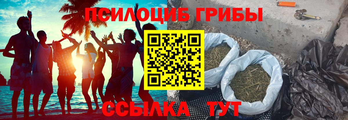 Галлюциногенные грибы MAGIC MUSHROOMS Добрянка