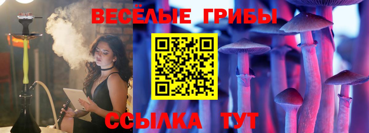 Псилоцибиновые грибы Magic Shrooms  Псилоцибиновые грибы Cubensis  Добрянка  Вход с VPN 